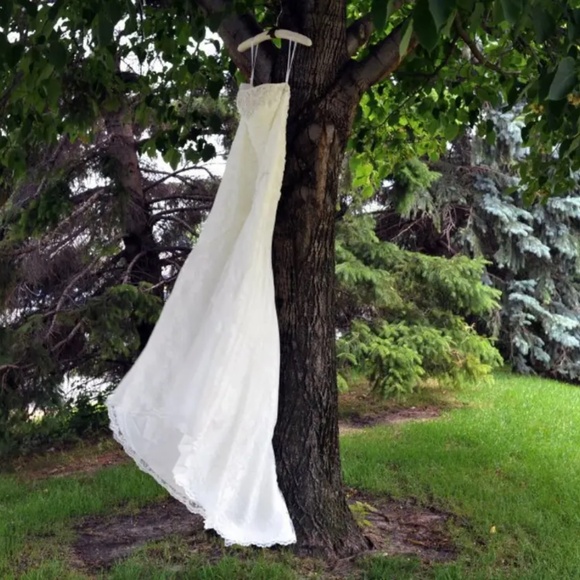 Wedding Dress - Picture 15 of 15